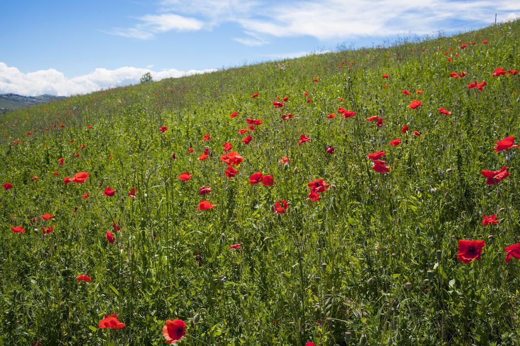 Agriturismo Il Cavicchio Pianoro