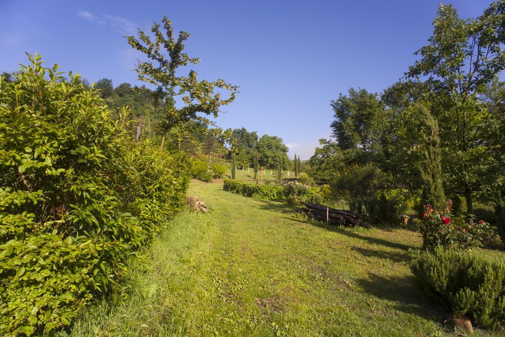 Agriturismo Il Cavicchio